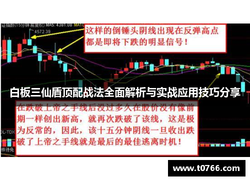 白板三仙盾顶配战法全面解析与实战应用技巧分享