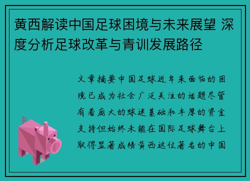 黄西解读中国足球困境与未来展望 深度分析足球改革与青训发展路径